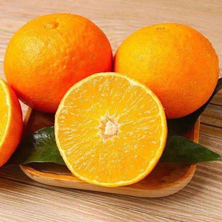 四川爱媛38号果冻橙新鲜水果当季水果8斤大果橙子柑橘5斤