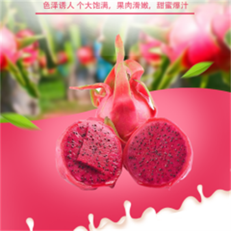 越南红心火龙果5斤(单果300-400g)新鲜当季水果红肉红心红龙水果