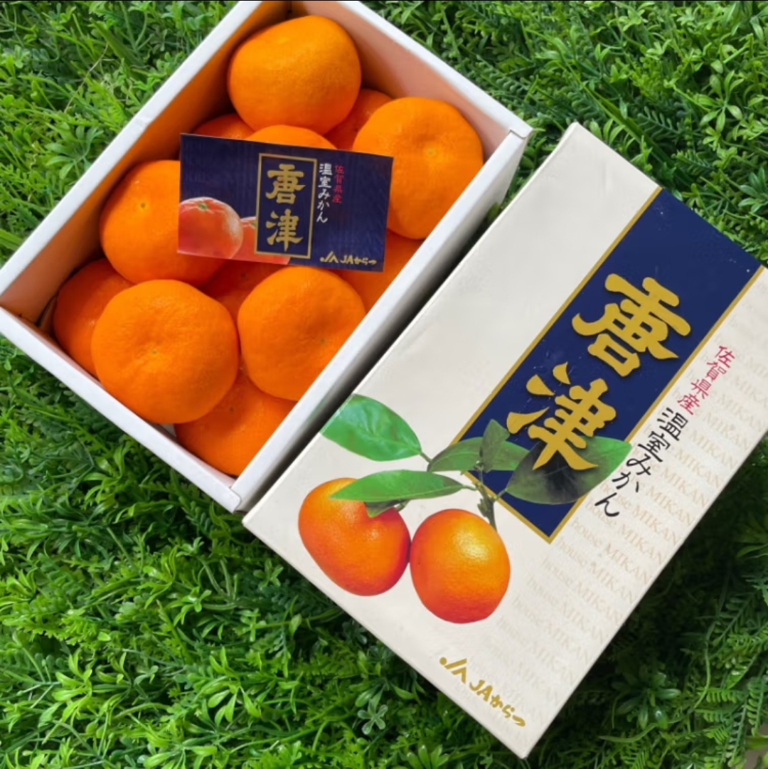 净樱唐津蜜橘 日本佐贺蜜橘 橘子桔 进口日本水果好吃蜜桔 2斤 整盒2斤