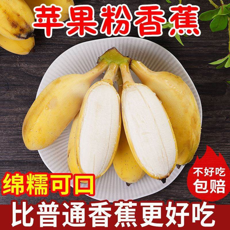 苹果蕉正宗香蕉新鲜10斤自然熟当季整箱水果粉蕉小米蕉芭蕉香焦甜