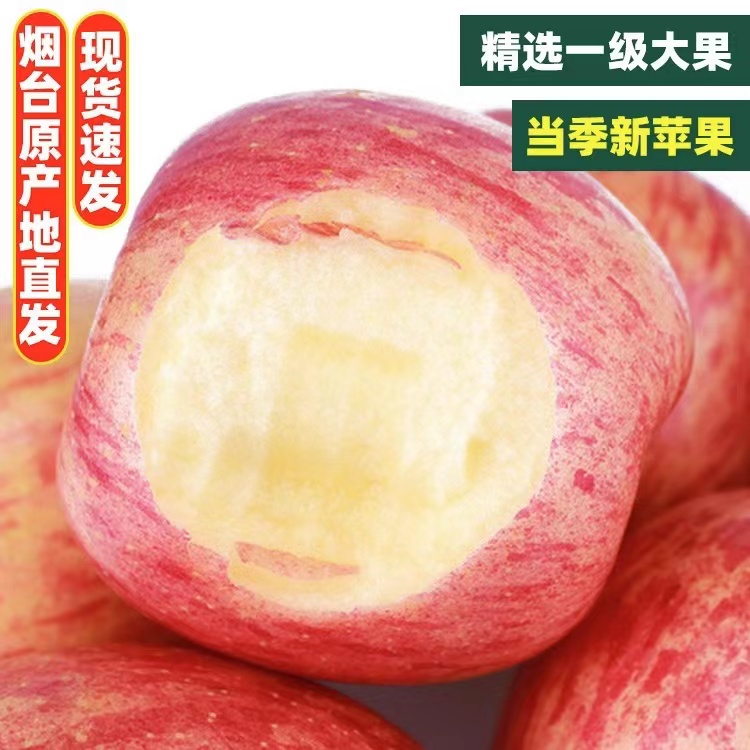 烟台红富士苹果10斤水果新鲜应当季正宗山东栖霞苹果冰糖心整箱