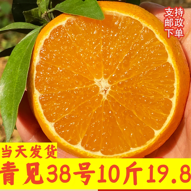 四川青见果冻橙10斤蒲江橙子水果新鲜当季38号爱丑柑橘媛桔子整箱