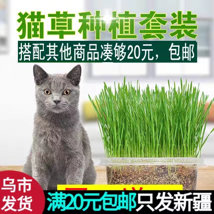 便宜容易上手，很好种对猫狗无害，可以使猫猫消化毛球，改善肠胃