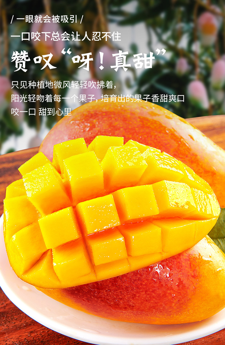 越南青芒新鲜大芒果3斤摘水果甜心青皮芒