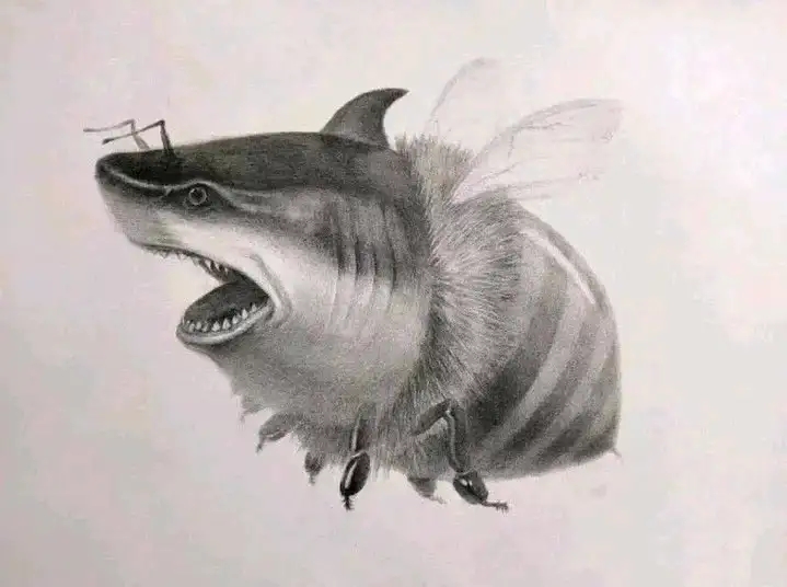 鲨bee