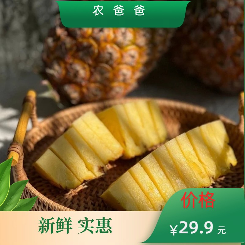农爸爸-云南香水小菠萝当季新鲜水果菠萝 产地现摘现发 4.5-5斤(3-5个)