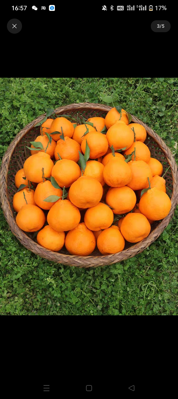 不知火丑橘10斤当季粑粑新鲜丑八怪柑橘耙耙桔子水果整箱包邮