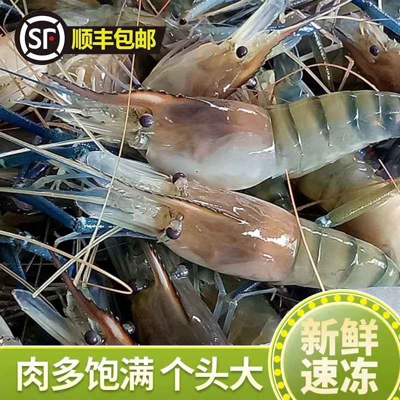 2斤罗氏虾新鲜大头虾海鲜生鲜淡水虾鲜活速冻河虾对虾大虾