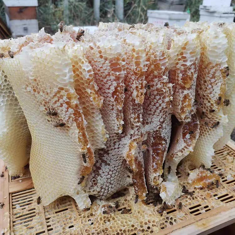 正宗新疆农家自产土蜂蜜黑蜂液态枣花蜜2斤成熟无添加包邮
