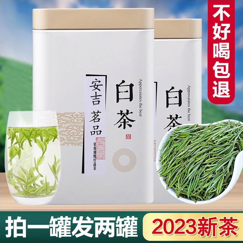 正宗白茶安吉高山特级2023年新茶礼盒装珍稀口粮绿茶雨前散装茶叶