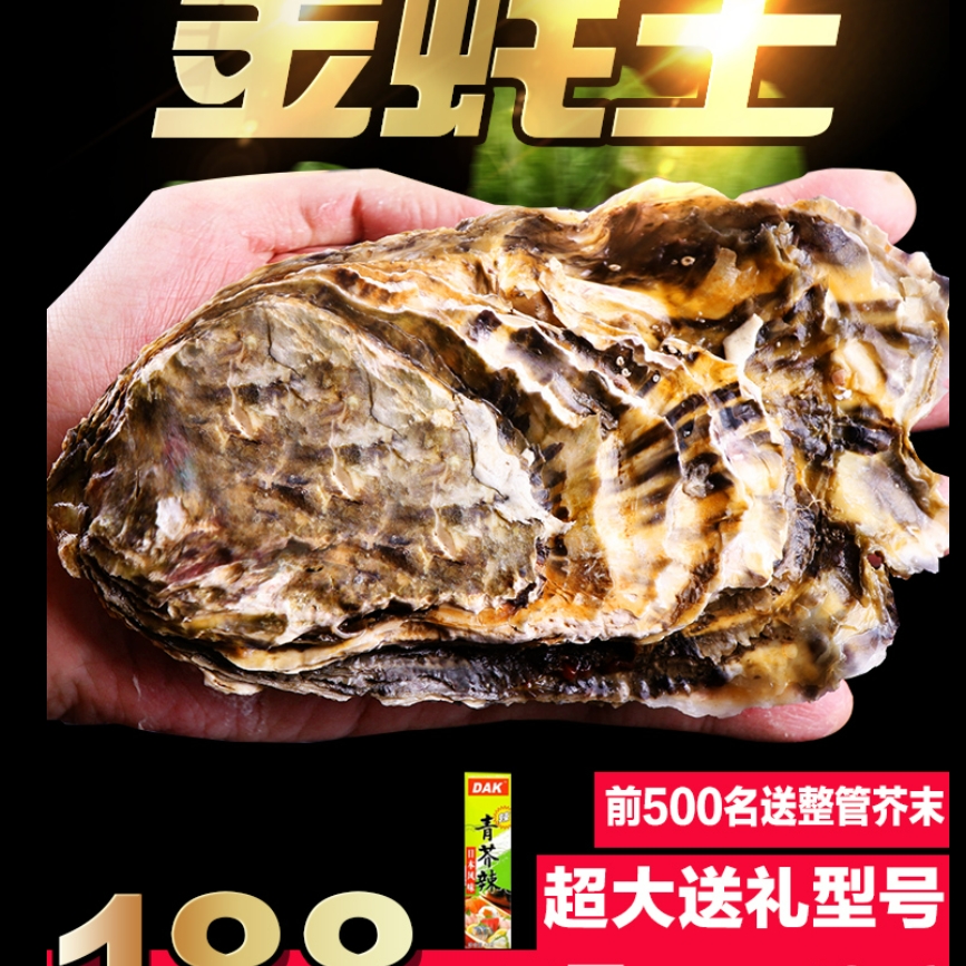 特大号正宗乳山生蚝鲜活新鲜牡蛎带壳 海鲜水产海蛎子包邮10斤5XL