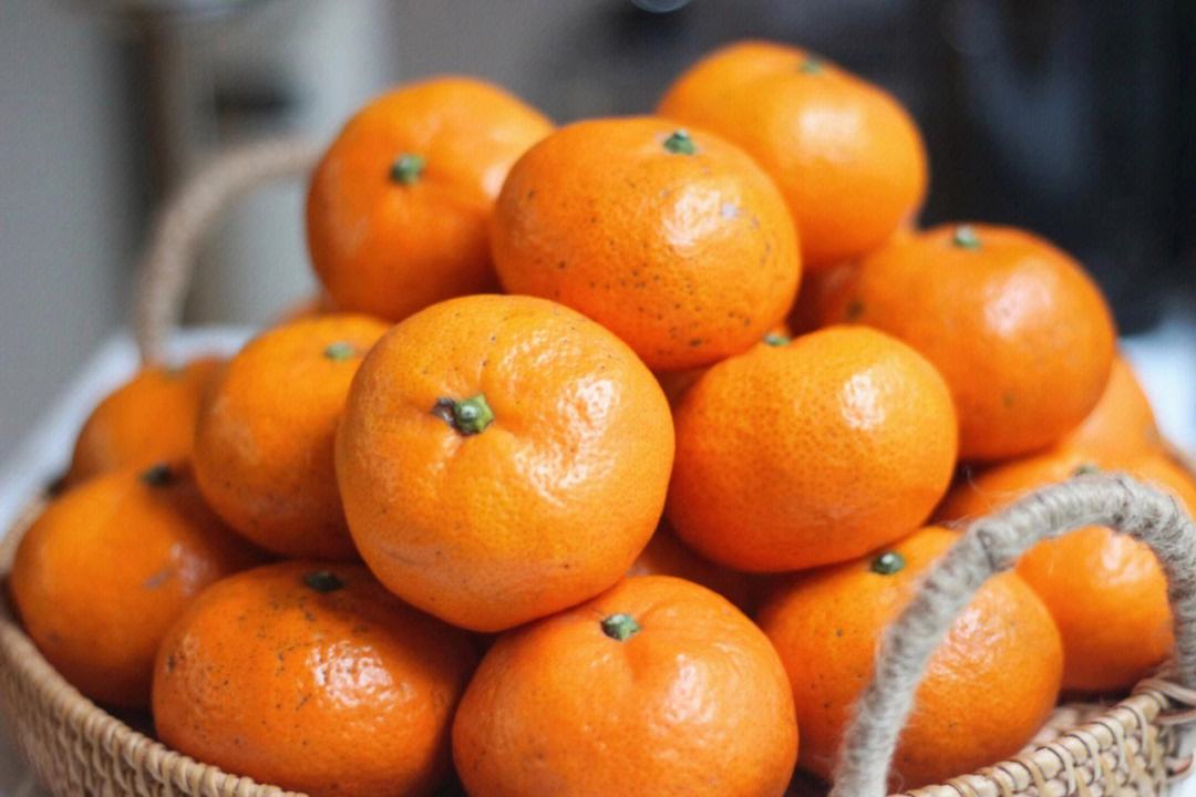 四川春见耙耙柑橘子新鲜水果10斤整箱丑八怪橘子粑粑桔子包邮柑橘