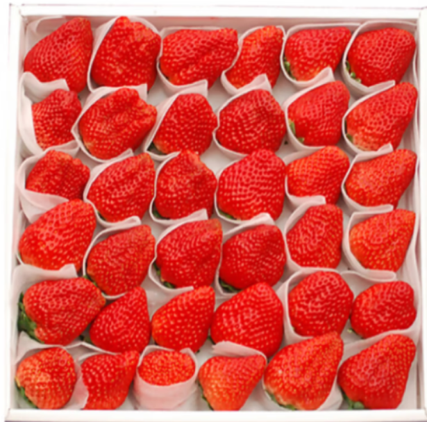 槿芷蔓（JIN ZHI MAN）草莓