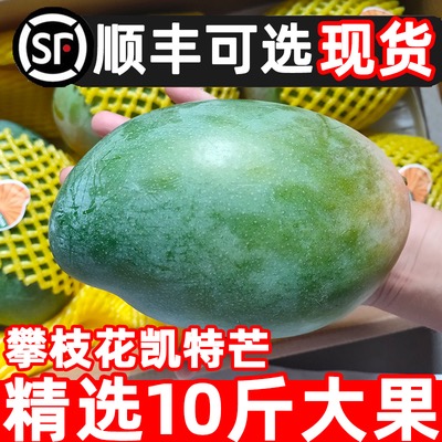 四川凯特芒果10斤新鲜现摘水果芒应当季热带水果特产蛋糕芒果包邮