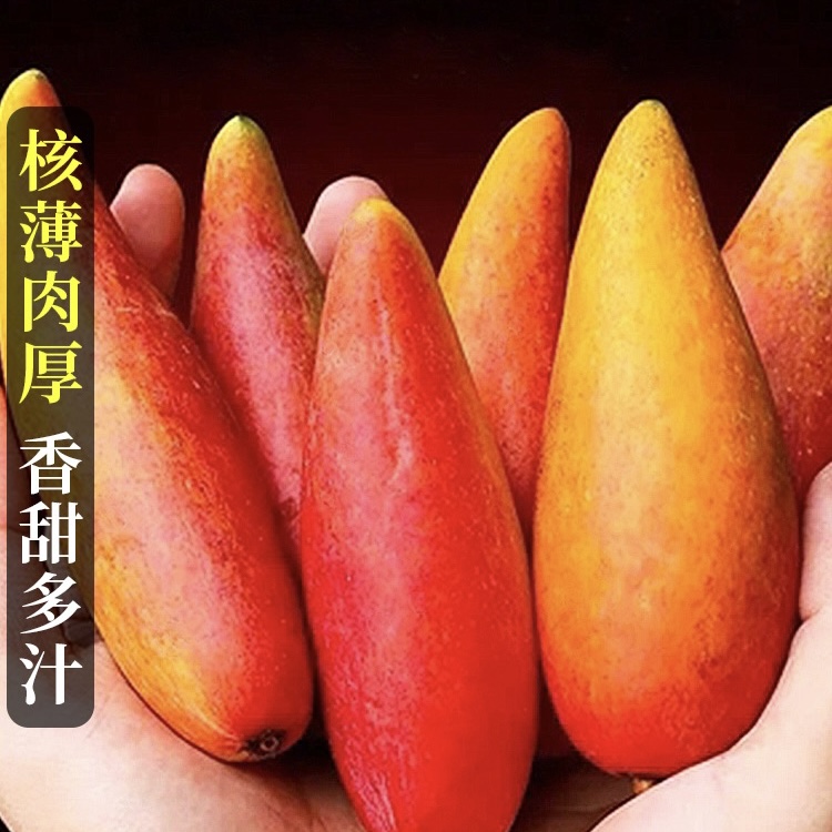海南贵妃芒10斤芒果新鲜热带水果树上熟整箱特大甜心芒产地直发