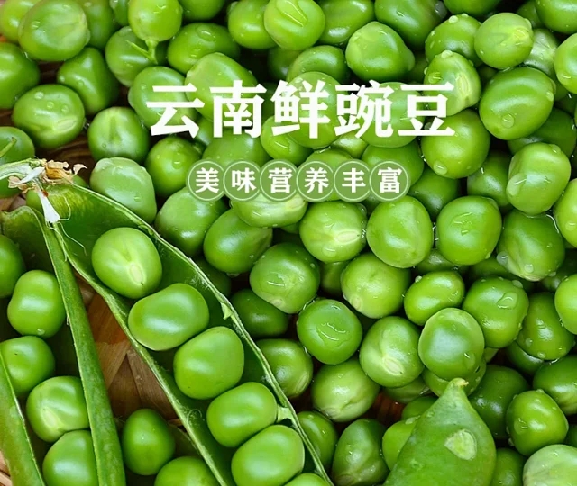 云南鲜豌豆