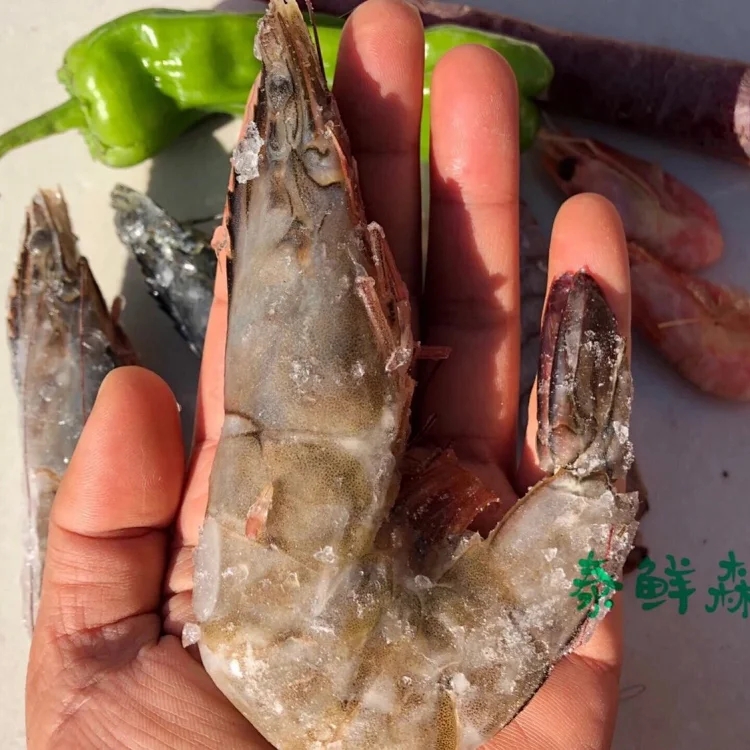 深海甜虾青岛海捕大虾皮皮虾