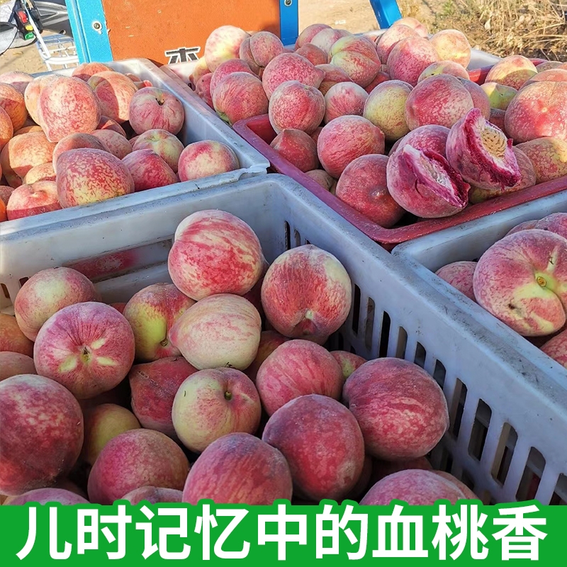 桃子5斤新鲜水果现摘现发红心血桃当季毛桃整箱脆桃应季水蜜桃子