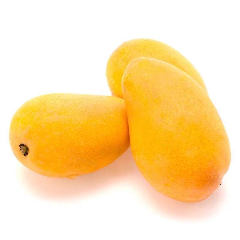 海南小台农芒果10斤新鲜现摘小台芒应当季热带水果特产甜芒果整箱