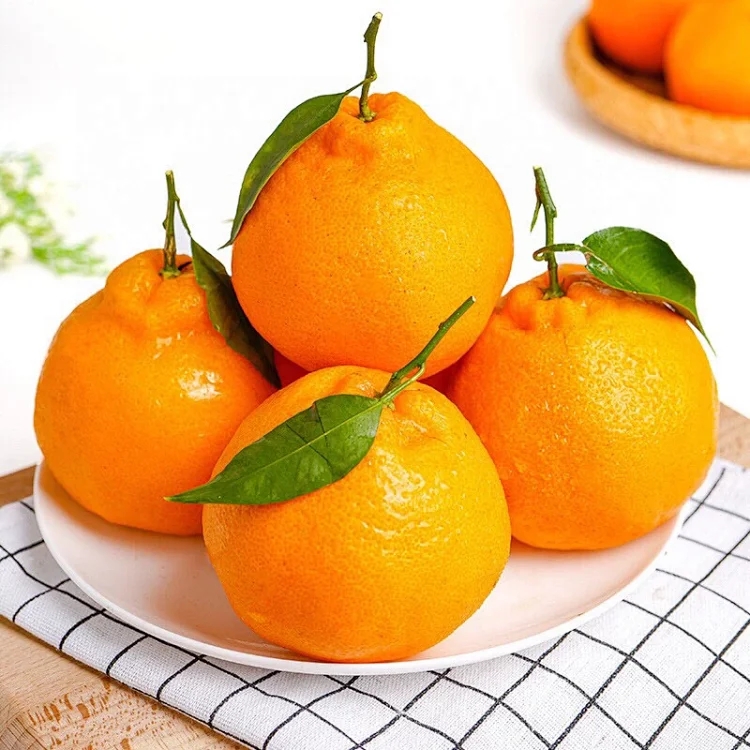 新鲜脐橙当季新鲜水果防冻甜橙子非赣南脐橙麻阳冰糖橙