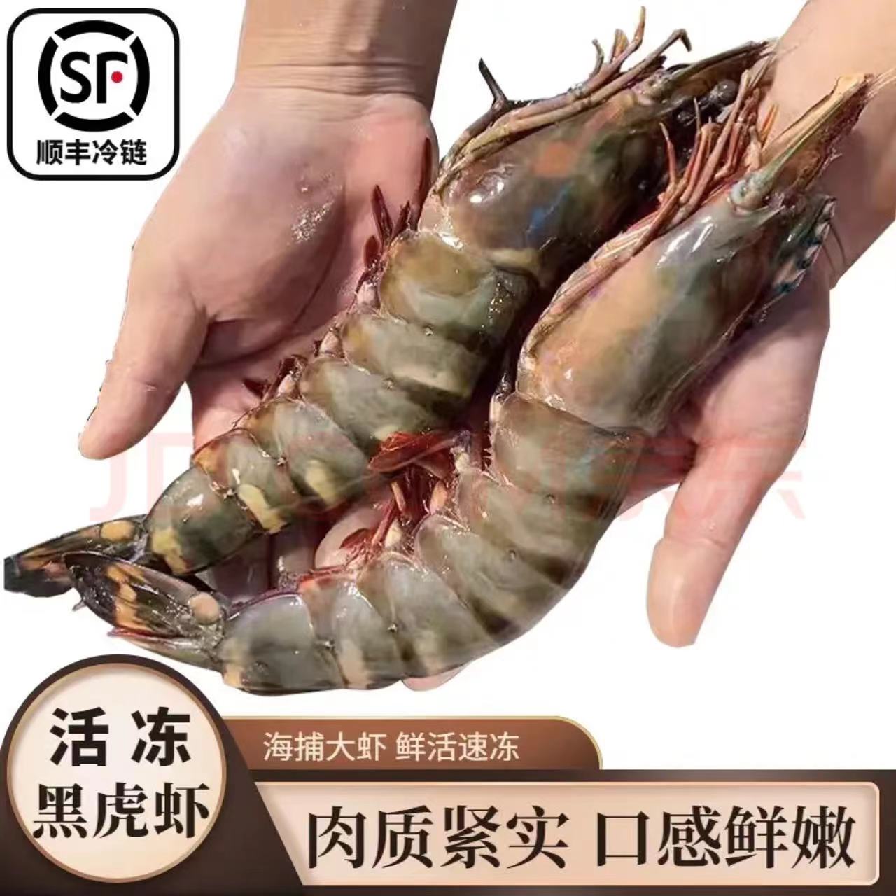 太湖海 虾 超大黑虎虾 东山岛大虾 活冻巨型老虎虾 特大号海虾生鲜 虾类