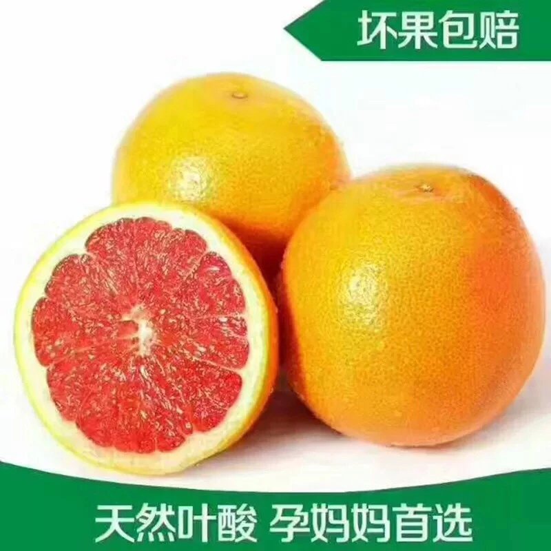 【今日特惠】西柚品质鲜果南非西柚 血柚葡萄柚新鲜水果大果