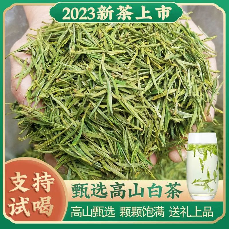 2023年安吉珍稀白茶高山白茶100克袋装明显绿茶浓香型