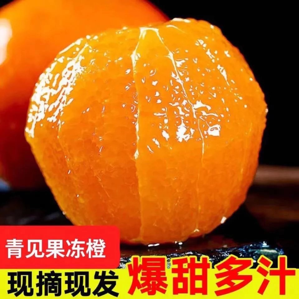 四川青见果冻橙柑橘丑橘9斤5斤新鲜当季水果 非不知火春见耙耙柑沃柑