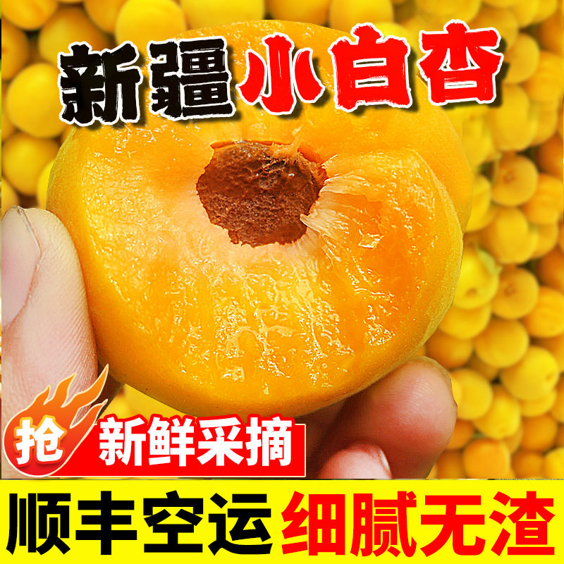 【顺丰空运】新疆轮台小白杏子新鲜孕妇水果应季库车甜杏子小红杏