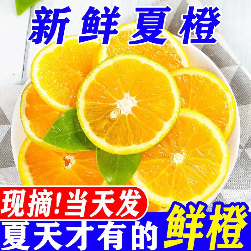 橙子新鲜夏橙新鲜应季水果超甜整箱批发薄皮非果冻橙冰糖橙赣南的