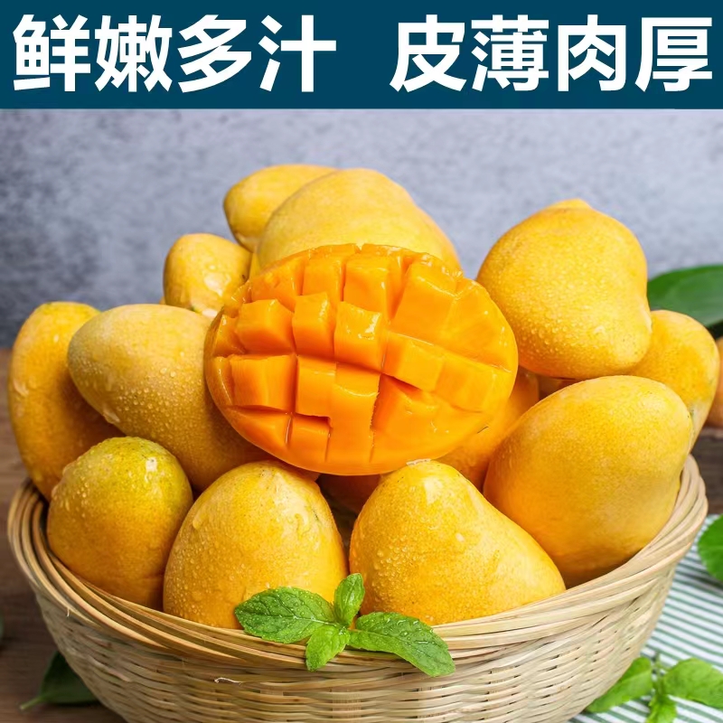 海南小台农芒果新鲜10斤应季小台芒果树上熟热带甜水果现摘整箱