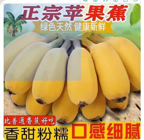 苹果蕉香蕉新鲜10斤自然熟包邮粉蕉孕妇水果当季小米蕉芭蕉整箱5 月销 600+