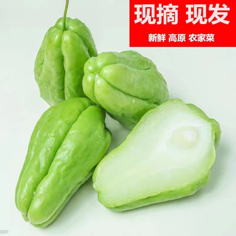 新鲜10斤云南佛手瓜福寿瓜洋茄子新鲜蔬菜农家洋捧瓜土耳瓜扶