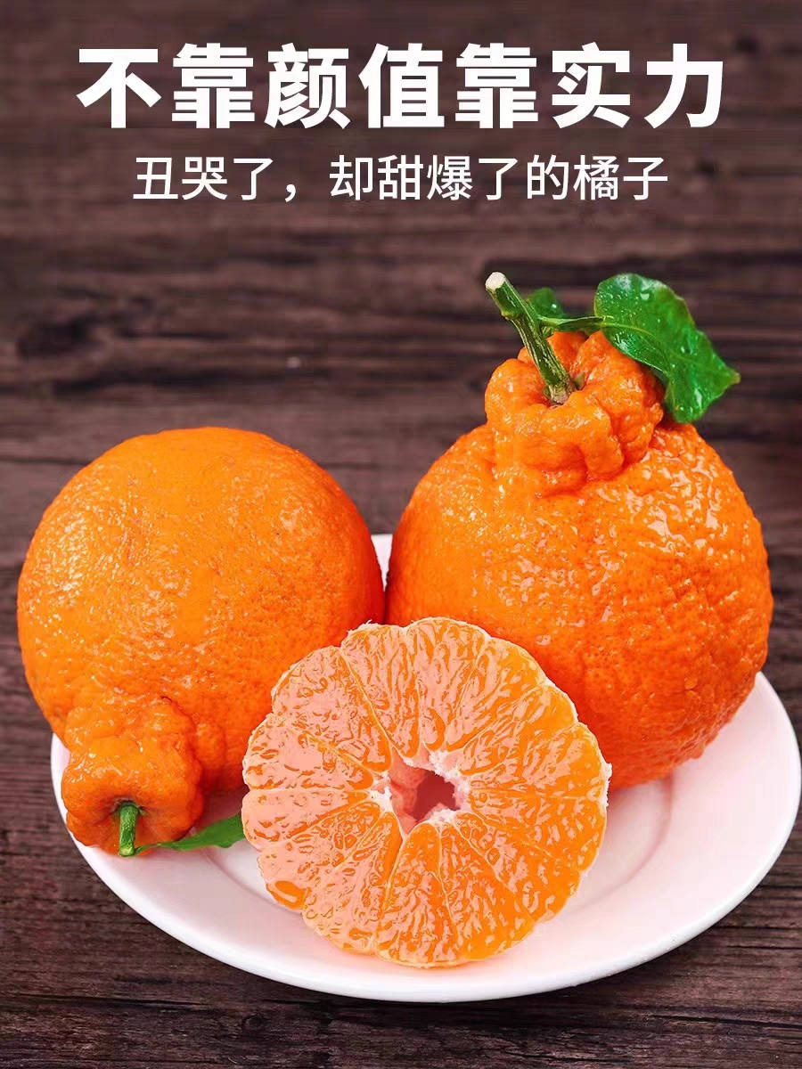 正宗不知火丑橘 