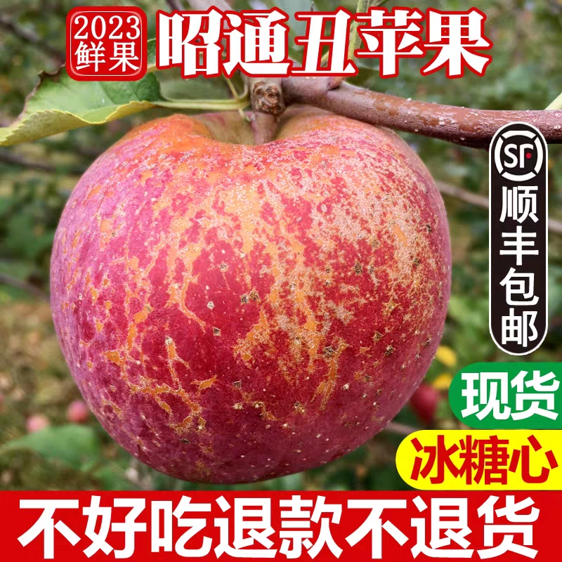 2023新疆阿克苏冰糖心苹果嘎啦红富士苹果脆甜当季新鲜水果整箱
