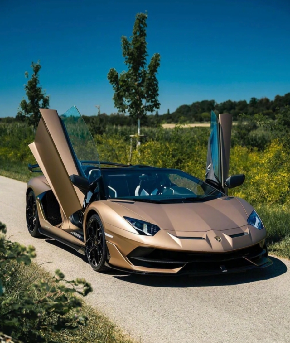 Lamborghini兰博基尼 Aventador SVJ Roadster