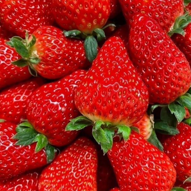 云南四季双流草莓10斤批发价奶茶烘焙糖葫芦酸草莓一整箱商用