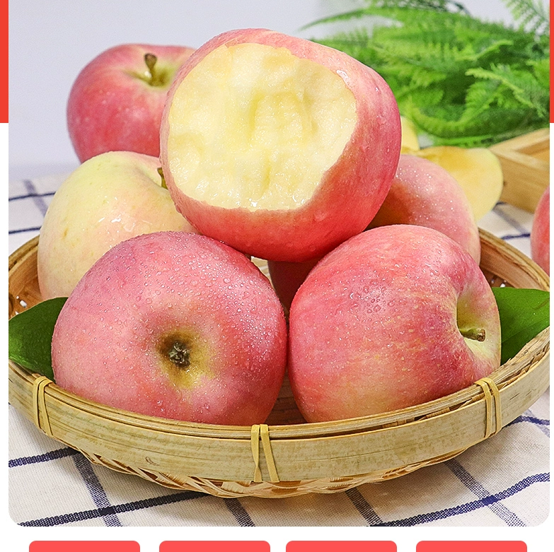 陕西红富士苹果5斤水果新鲜应当季丑萍果