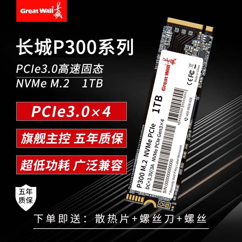 长城P300 M.2固态硬盘1TB 2TB笔记本电脑游戏SSD台式机PCIE3.0