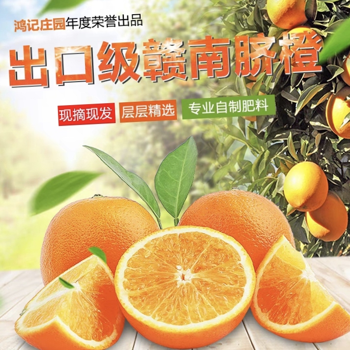江西赣南脐橙新鲜橙子当季水果正宗赣州冰糖甜橙手剥果冻橙