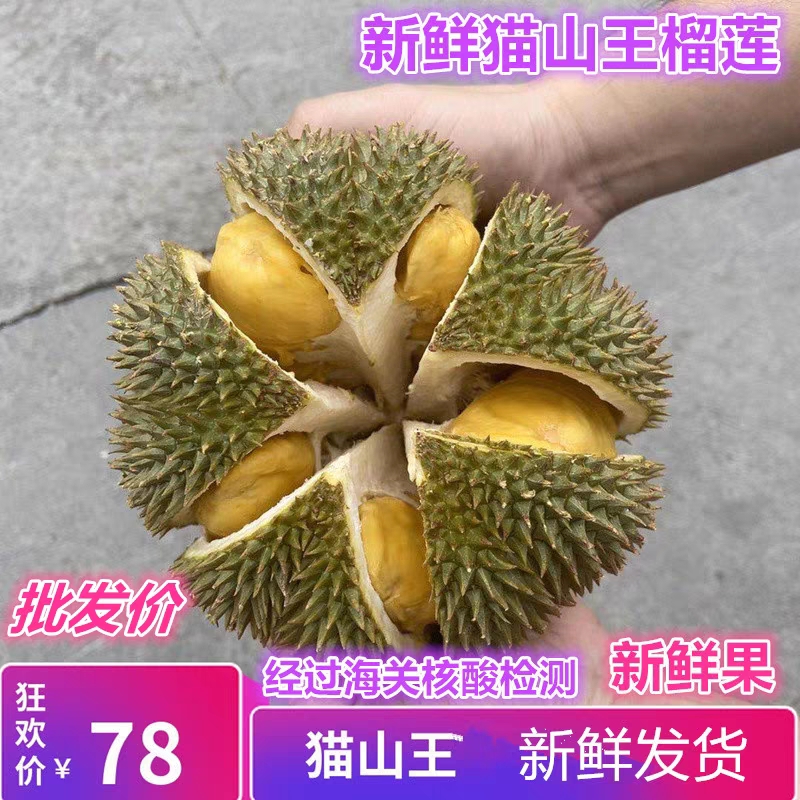 猫山王榴莲新鲜整个带壳特产应季水果现摘2-15斤泰国巴掌青皮一箱