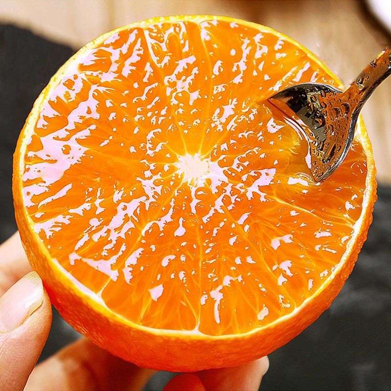 正宗广西皇帝柑10斤新鲜大果橘子甜现摘当季水果蜜桔贡柑顺丰包邮