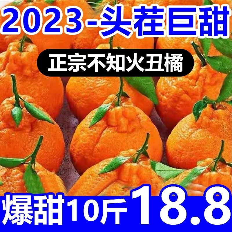 四川不知火丑橘新鲜采摘整箱水果当季粑粑丑八怪柑橘耙耙桔子大果