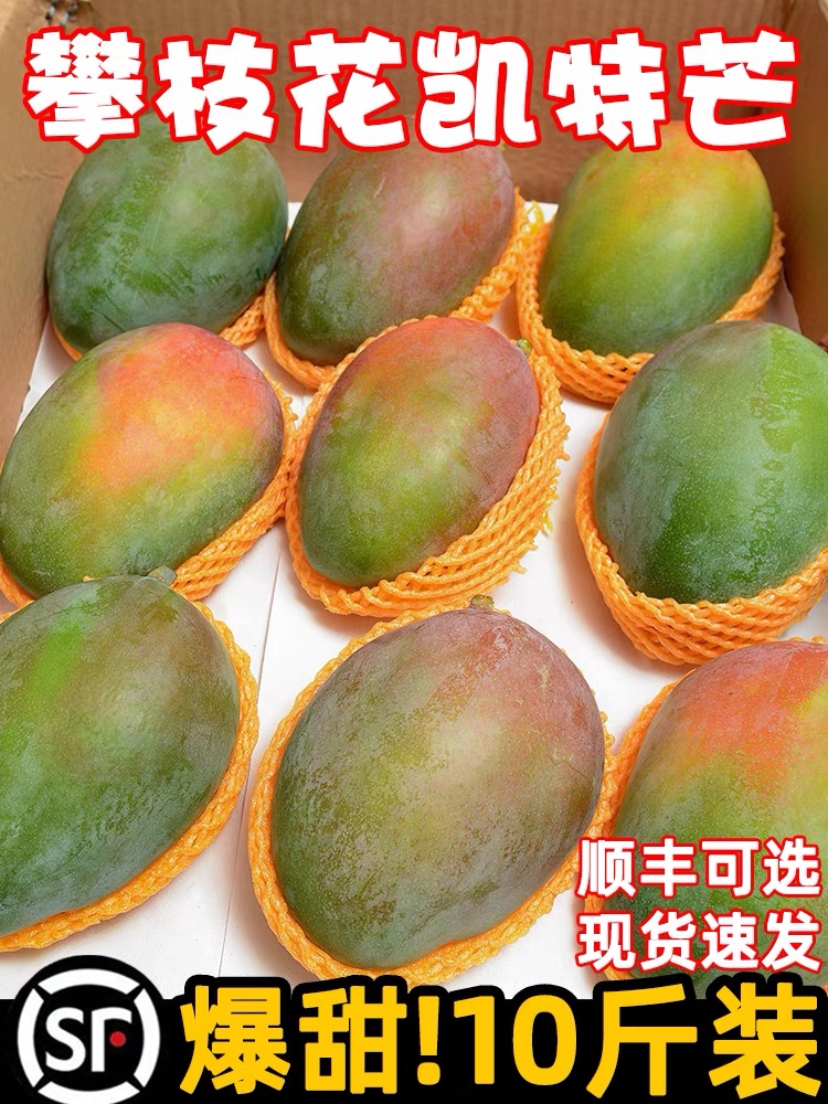 四川攀枝花凯特芒果新鲜10应季斤水果芒果整箱包邮特大青忙果当季