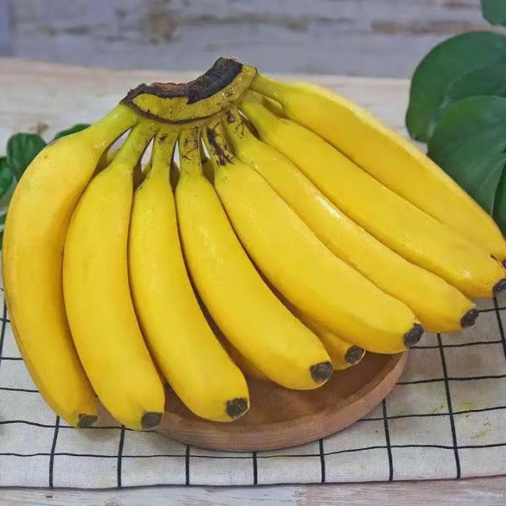 【自然熟香蕉】新鲜香蕉小米蕉云南特产生态香蕉特价包邮