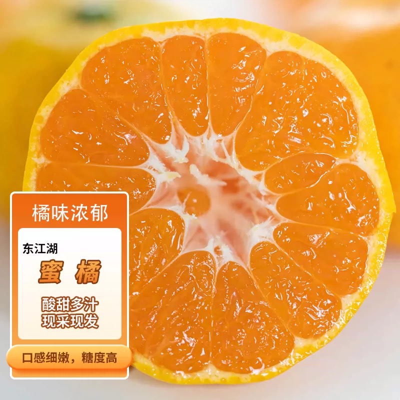 极客农场东江蜜桔蜜橘橘子新鲜 风味足皮薄肉嫩酸甜多汁橘味超正