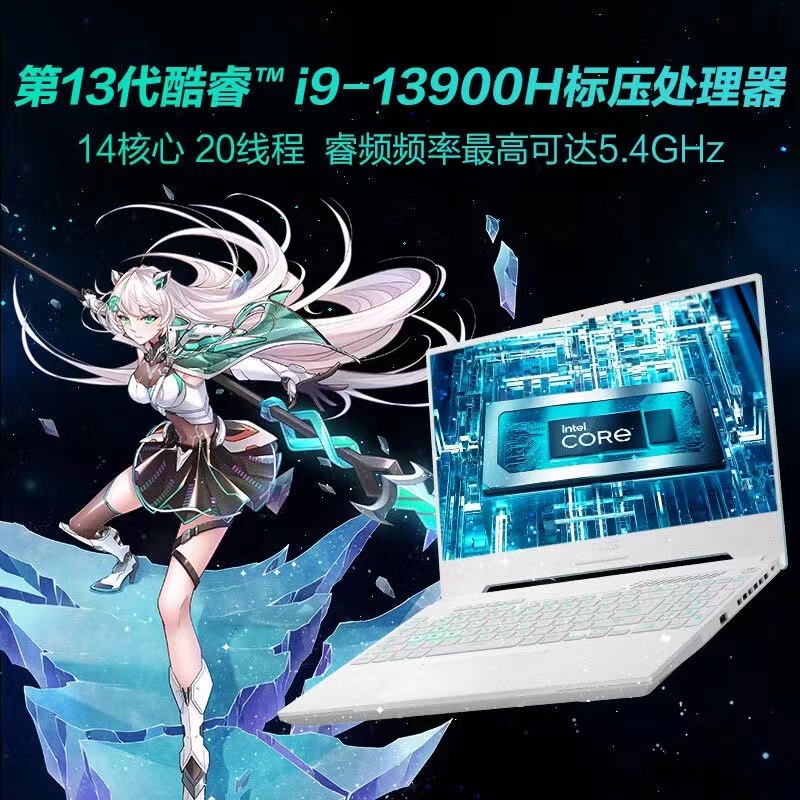Asus/华硕天选4 新款i9-13900H/RTX4060 2.5K屏 游戏本笔记本电脑 天选4 白 1TB