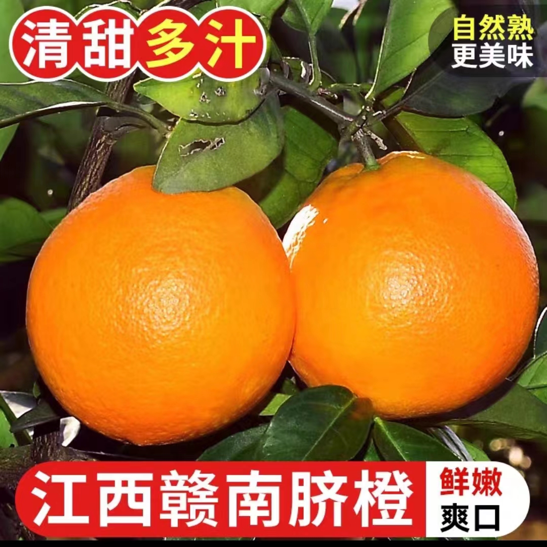 正宗江西赣南脐橙赣州橙子新鲜当季孕妇水果10斤装甜橙