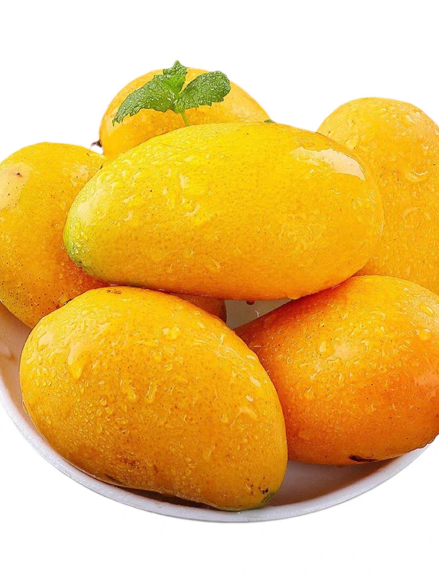 越南大青芒特大水果芒果新鲜10斤生鲜整箱金煌应季当季青芒果鲜果