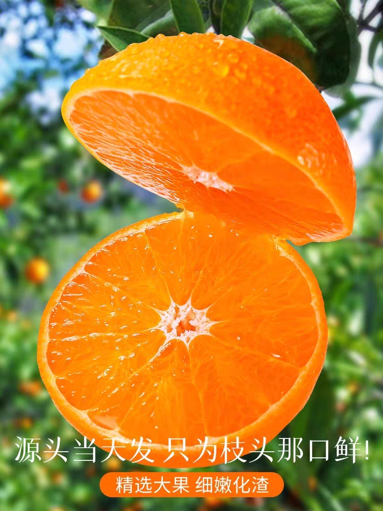 广西武鸣沃柑10斤水果新鲜当季整箱橘子一级沙糖蜜橘柑橘砂糖桔子
